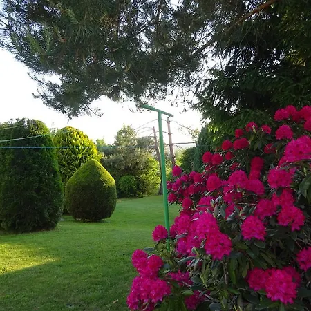 Kapelj Guest house 3*