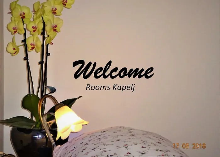 Konukevi Kapelj 3*